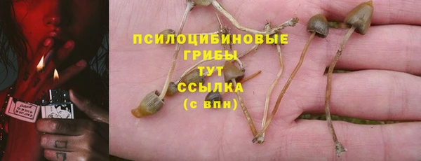 метамфетамин Алексин