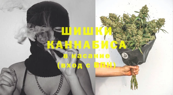твердый Алзамай