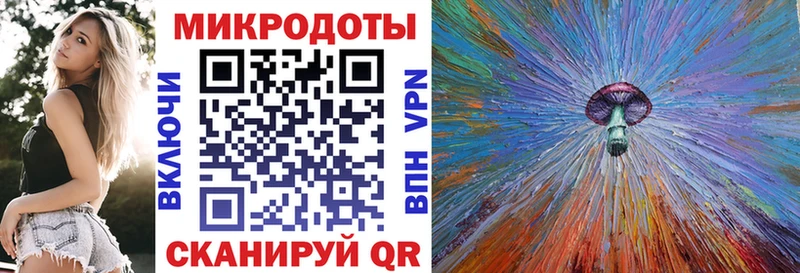 Галлюциногенные грибы Psilocybe  Купить где  Ладушкин 